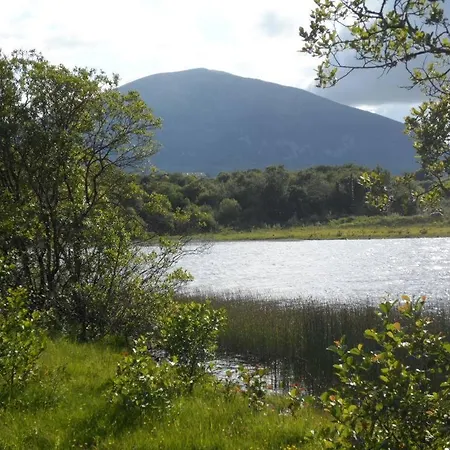 Homestay The Woodlands Ballina (Mayo)